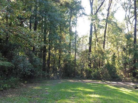 0.28 Acres of Residential Land for Sale in Hemphill, Texas