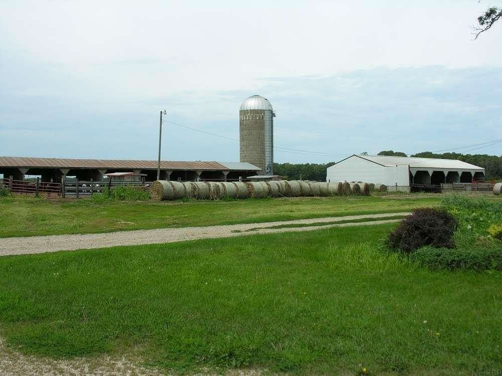 19.82 Acres of Land with Home for Sale in St. Ansgar, Iowa