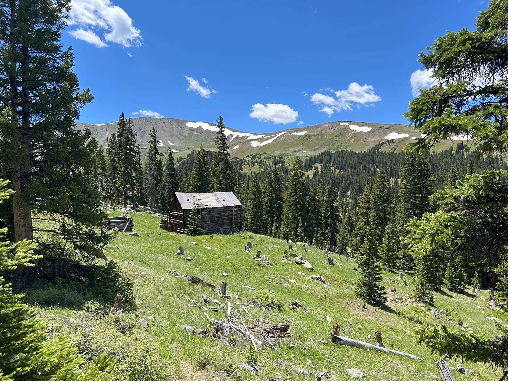 86.57 Acres of Recreational Land for Sale in Buena Vista, Colorado