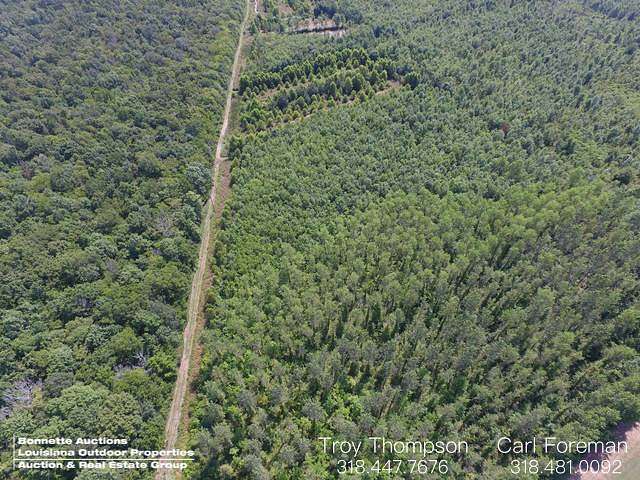 73 Acres of Recreational Land for Sale in Bunkie, Louisiana