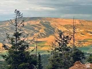 6.48 Acres of Recreational Land for Sale in Tabiona, Utah