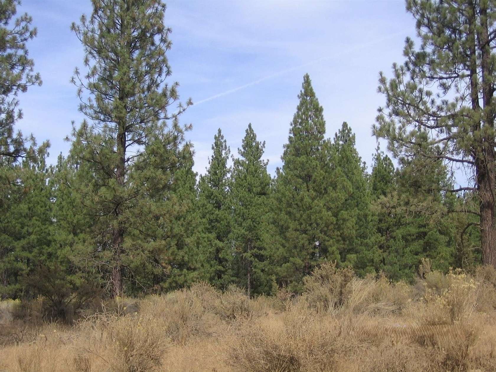 2.93 Acres of Residential Land for Sale in Chiloquin, Oregon