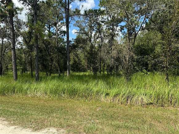 0.74 Acres of Residential Land for Sale in Dunnellon, Florida