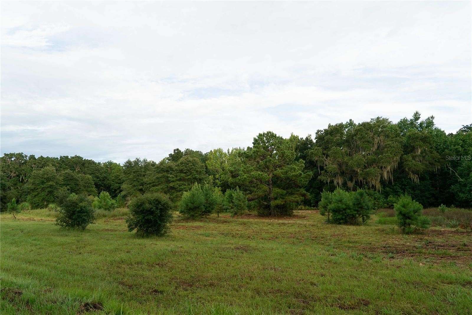 20 Acres of Land for Sale in Gainesville, Florida