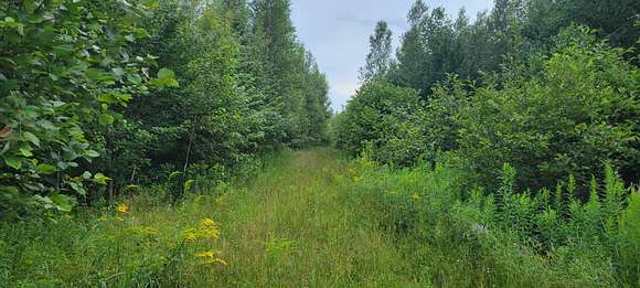 289 Acres of Land for Sale in Milford, Maine