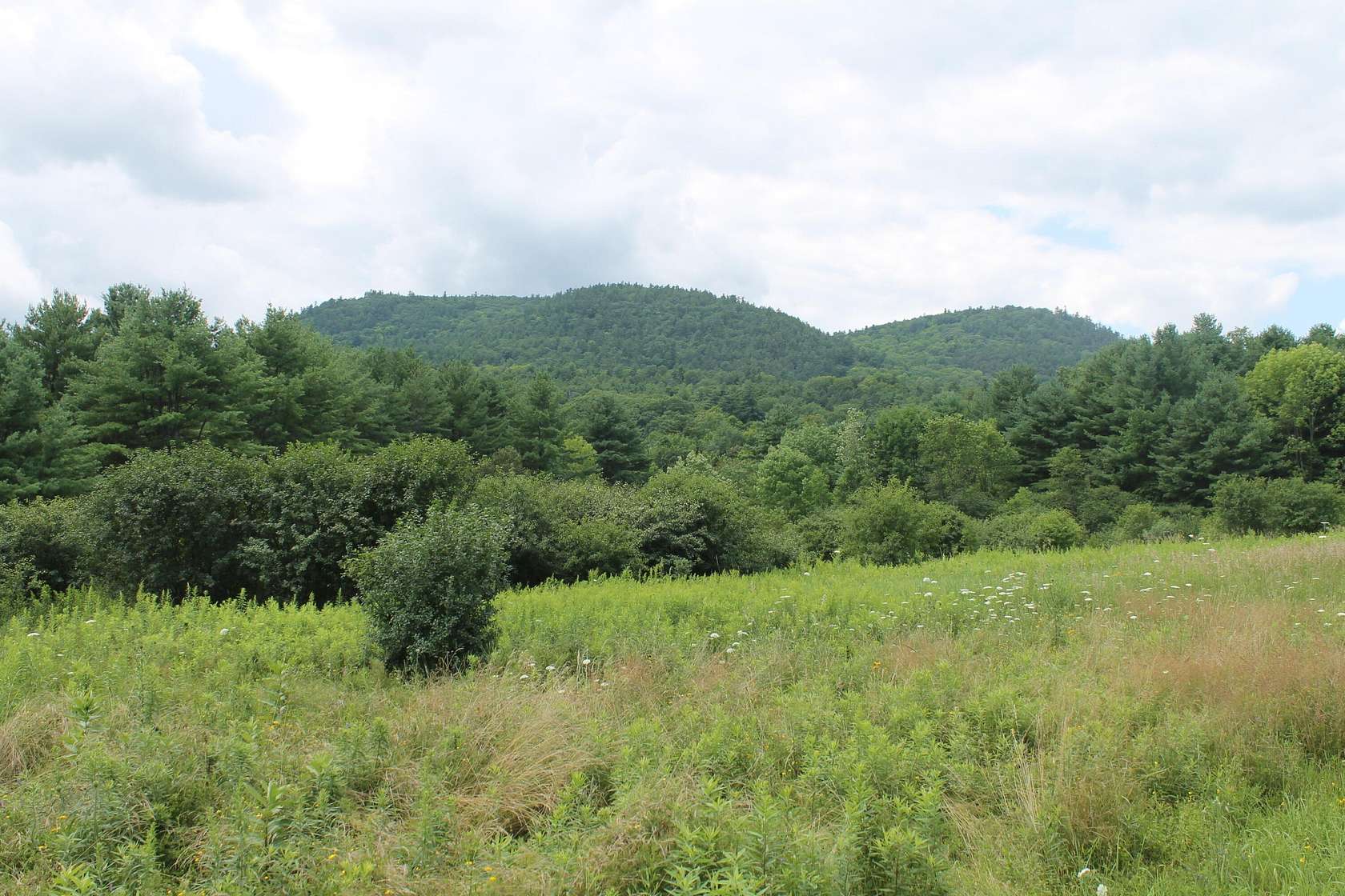 56.4 Acres of Recreational Land & Farm for Sale in Westport, New York