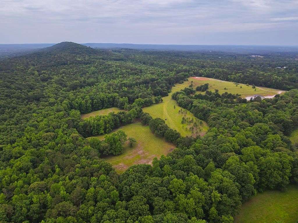 35 Acres of Land for Sale in Bowdon, Georgia