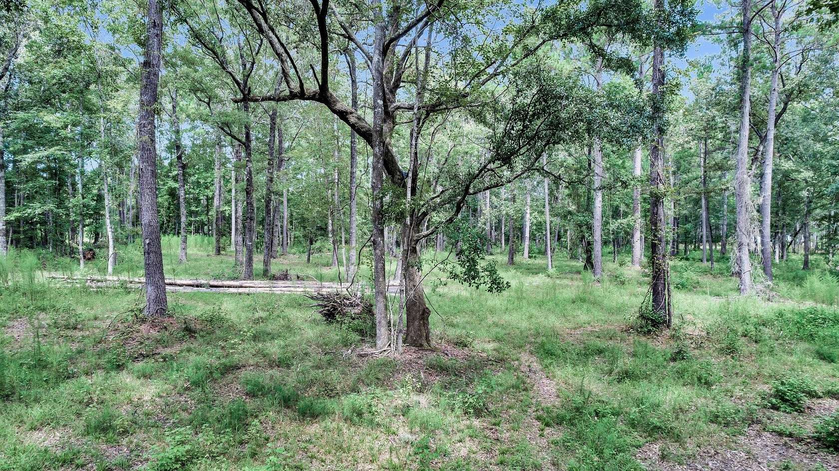 4.59 Acres of Residential Land for Sale in Adams Run, South Carolina