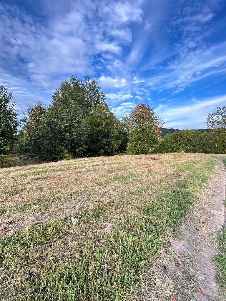 Land for Sale in Chatsworth, Georgia