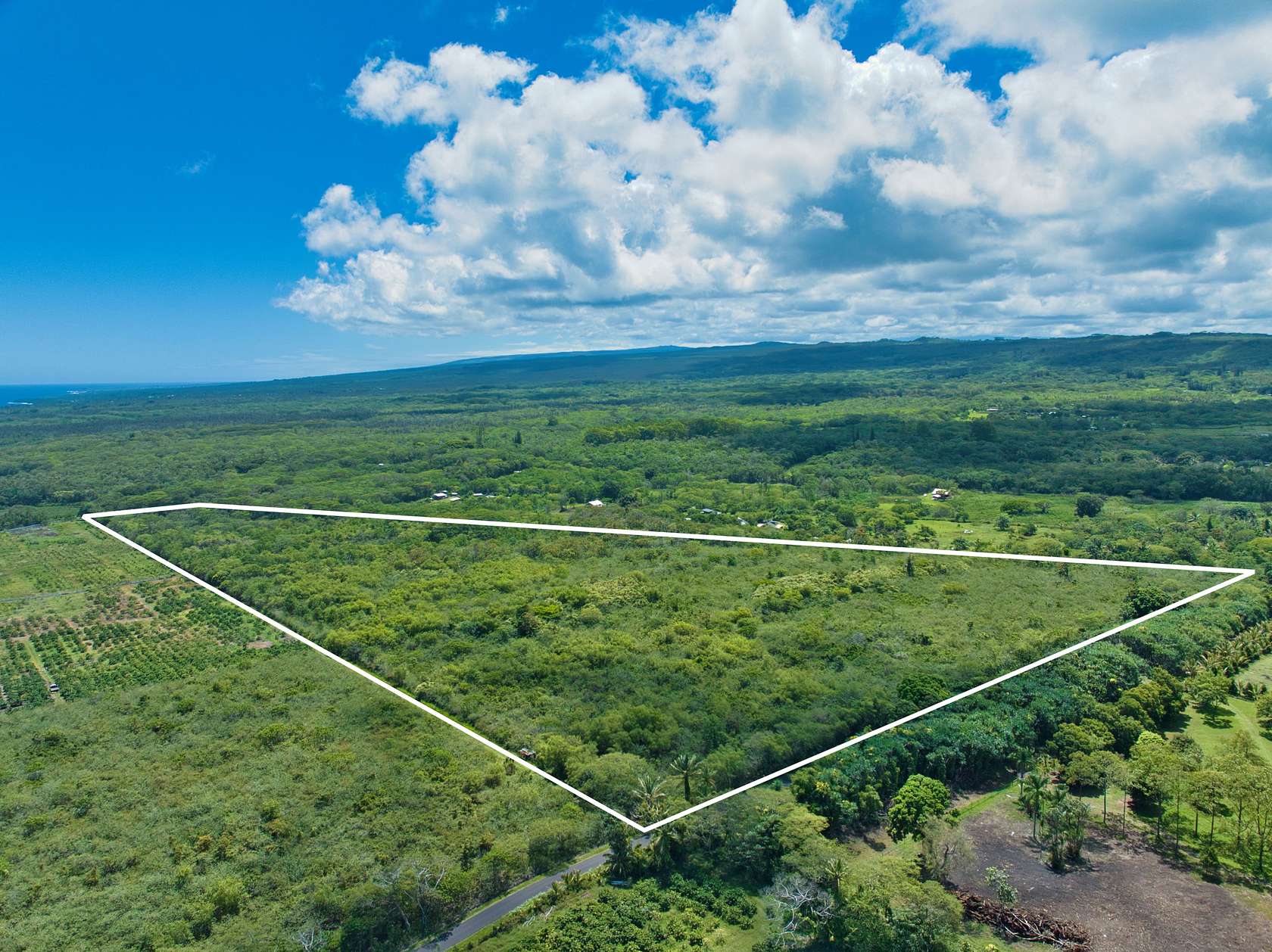 51 Acres of Agricultural Land for Sale in Pahoa, Hawaii