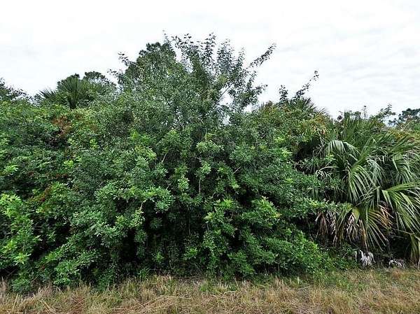0.23 Acres of Land for Sale in North Port, Florida