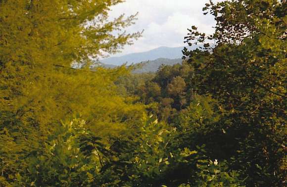 3 Acres of Residential Land for Sale in Sevierville, Tennessee