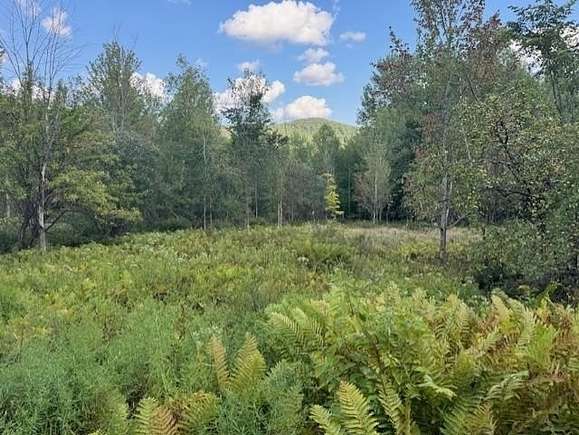 12 Acres of Recreational Land for Sale in Montgomery, Vermont