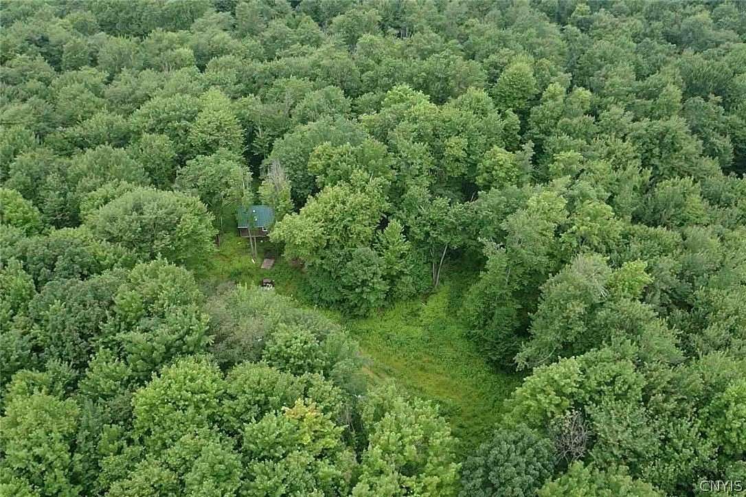 82.5 Acres of Recreational Land for Sale in West Union, New York