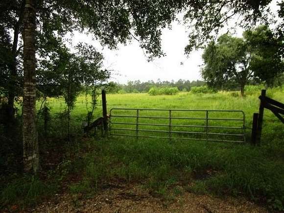 40 Acres of Agricultural Land for Sale in Pearl River, Louisiana