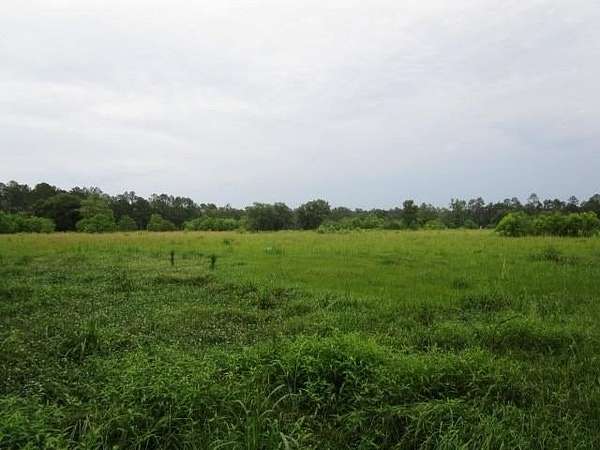 40 Acres of Agricultural & Residential Land for Sale in Pearl River, Louisiana