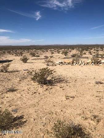 20 Acres of Land for Sale in Fort Hancock, Texas