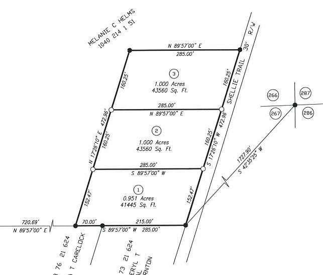 1 Acre of Residential Land for Sale in Patterson, Georgia