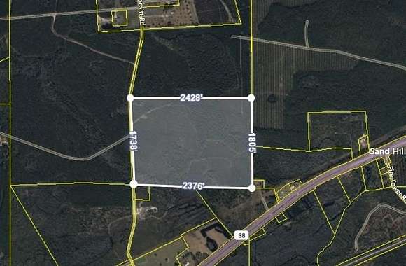 100 Acres of Recreational Land & Farm for Sale in Waycross, Georgia