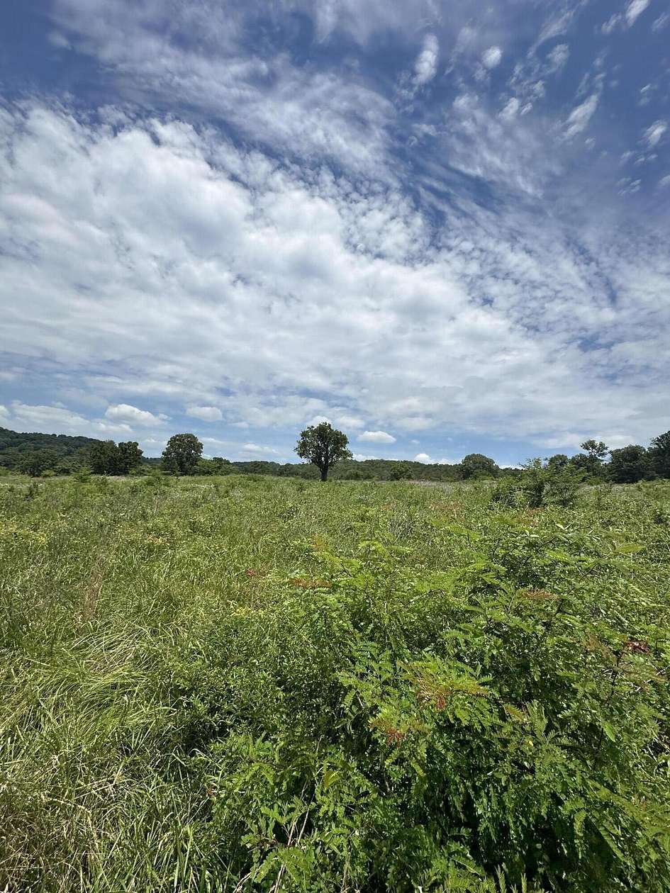 79.85 Acres of Land for Sale in Eagle Rock, Missouri