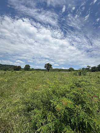 79.85 Acres of Land for Sale in Eagle Rock, Missouri