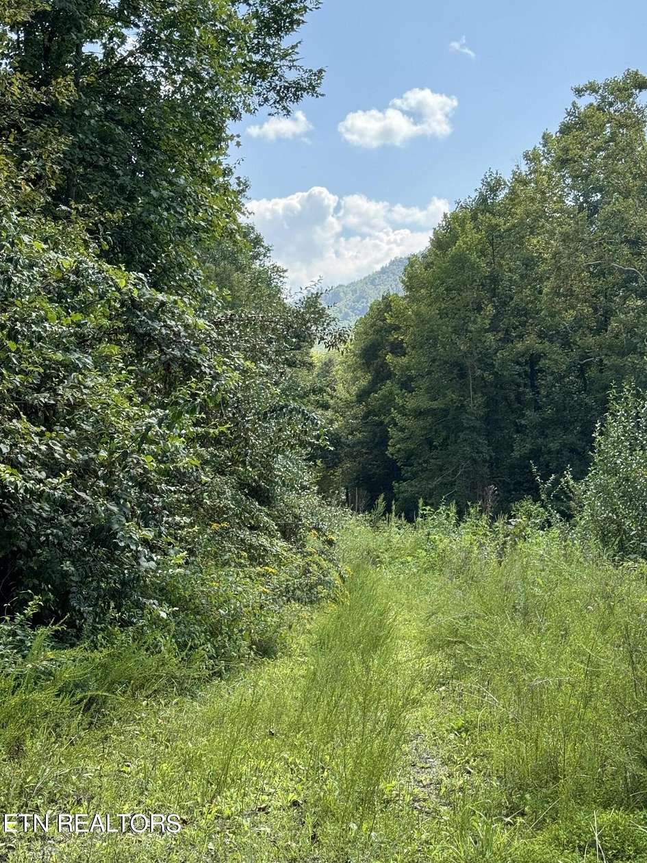 19.66 Acres of Recreational Land for Sale in Huntsville, Tennessee