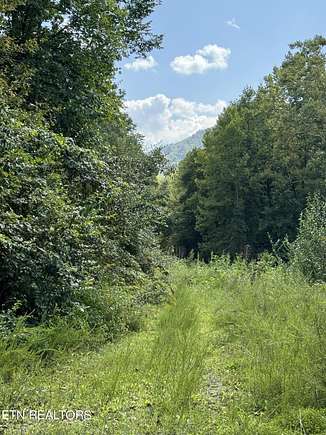 19.7 Acres of Recreational Land for Sale in Huntsville, Tennessee