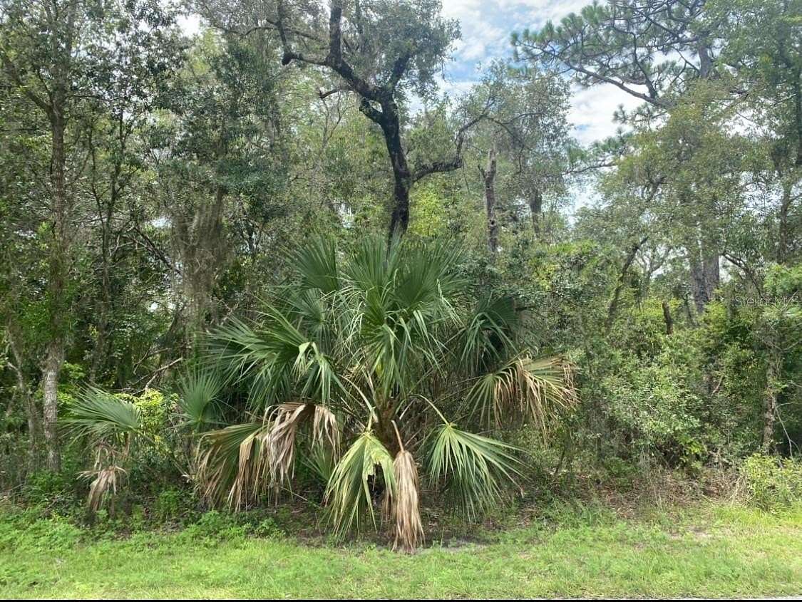 0.24 Acres of Residential Land for Sale in Dunnellon, Florida