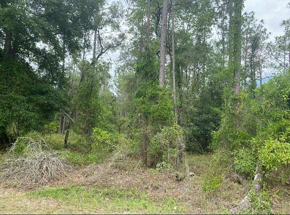 0.24 Acres of Residential Land for Sale in Dunnellon, Florida