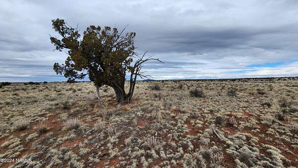 10 Acres of Recreational Land for Sale in Williams, Arizona