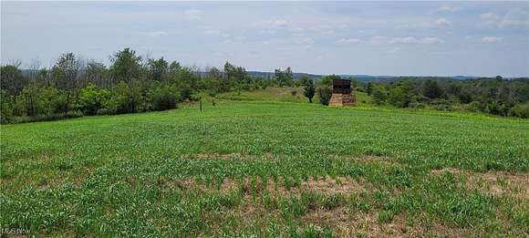 31.281 Acres of Recreational Land for Sale in Coshocton, Ohio