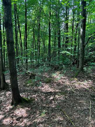 24 Acres of Recreational Land for Sale in Milton, Vermont