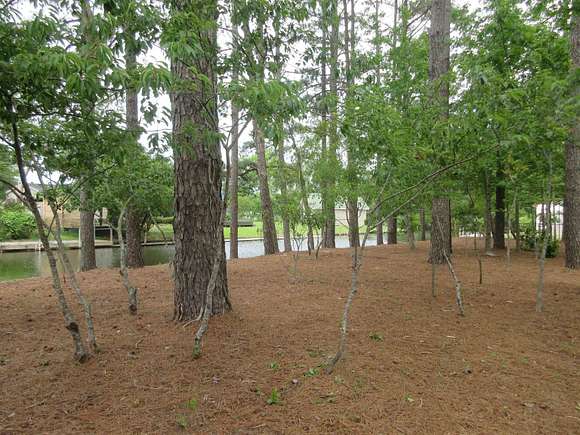 1 Acre of Residential Land for Sale in Grandy, North Carolina