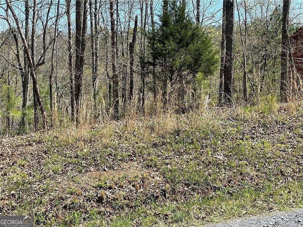 1 Acre of Residential Land for Sale in Ranger, Georgia