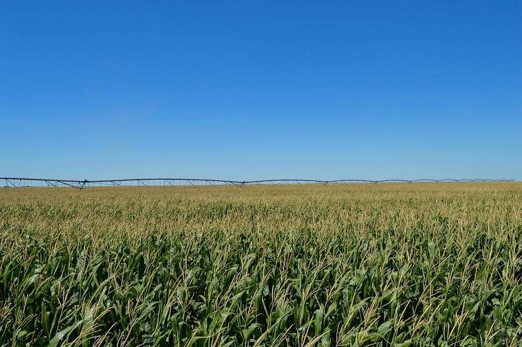 479 Acres of Land for Sale in Holly, Colorado