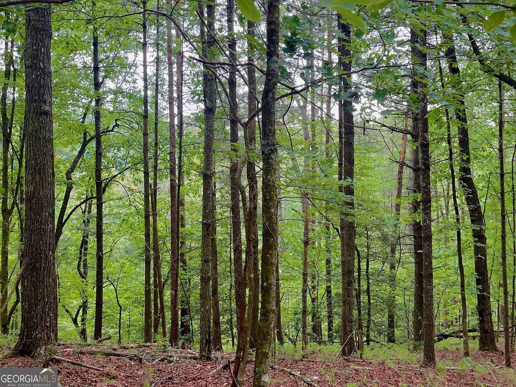 3.46 Acres of Residential Land for Sale in Ellijay, Georgia