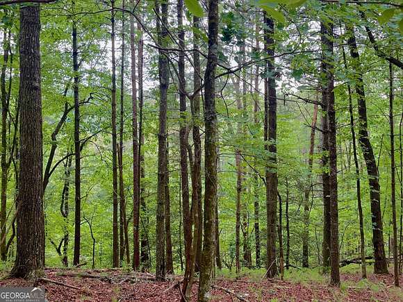 3.46 Acres of Residential Land for Sale in Ellijay, Georgia