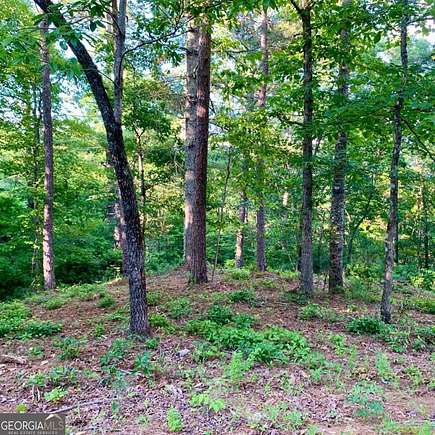 1.96 Acres of Residential Land for Sale in Warne, North Carolina