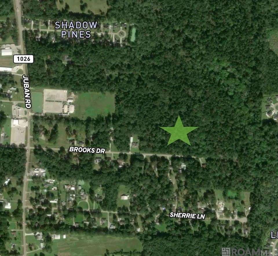 1 Acre of Residential Land for Sale in Denham Springs, Louisiana