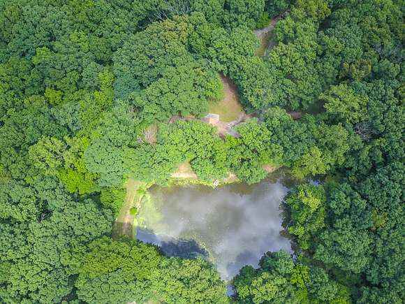 Looking straight down on the pond