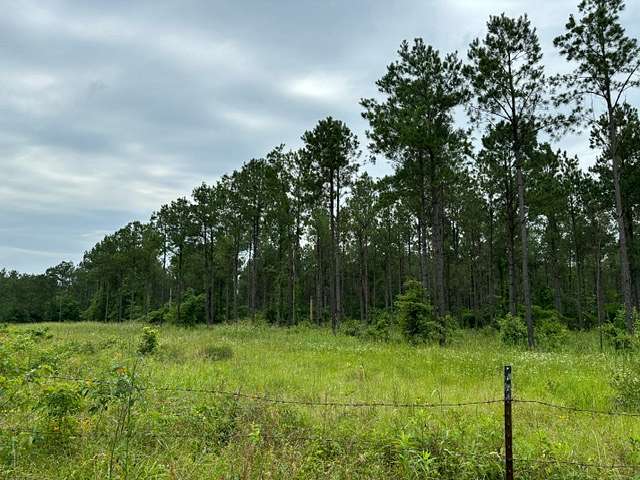 67 Acres of Land for Sale in Waskom, Texas