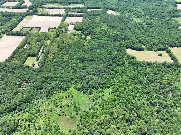 74 Acres of Recreational Land for Sale in Parma, Michigan