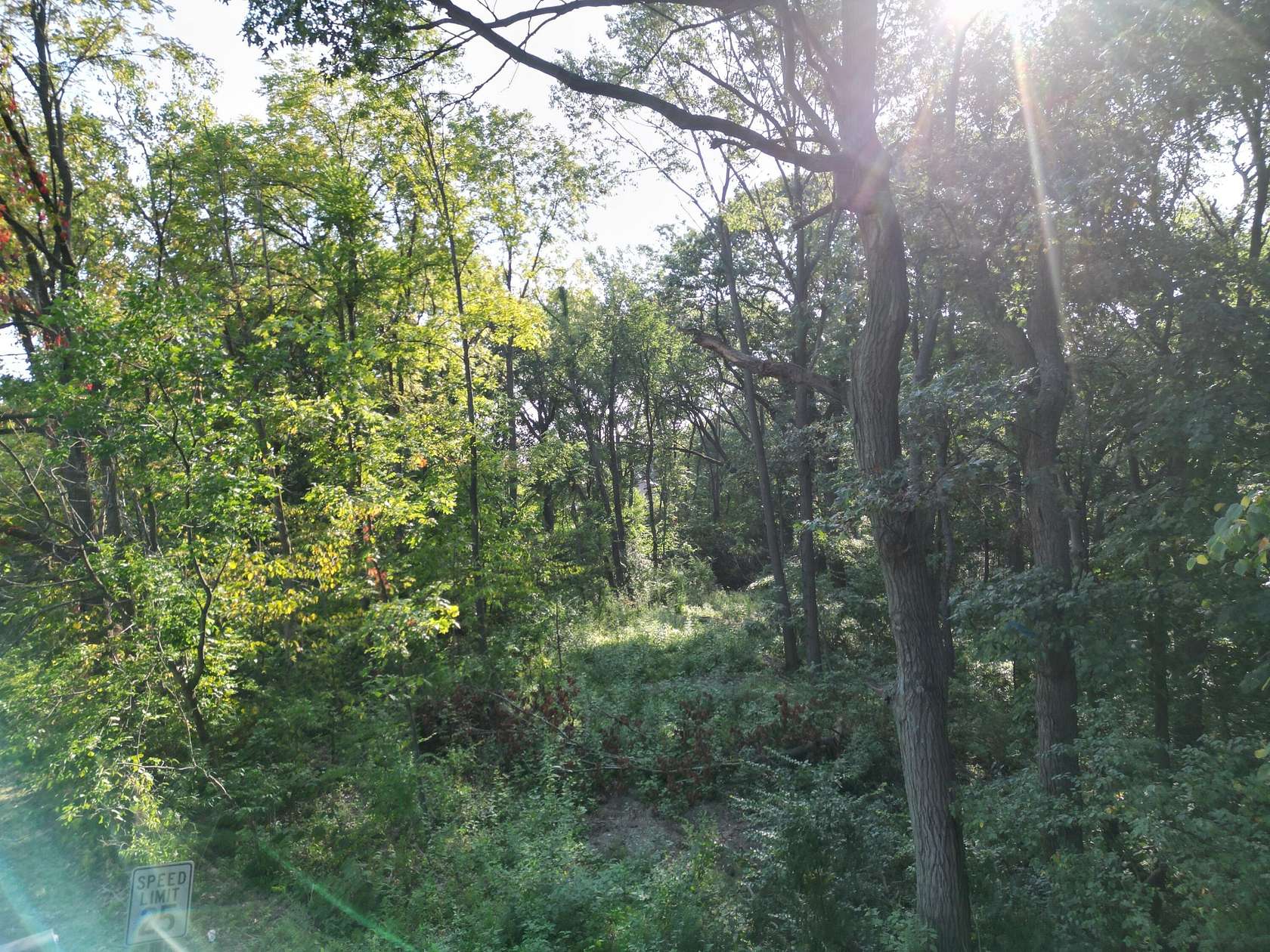 4.39 Acres of Residential Land for Sale in Crown Point, Indiana