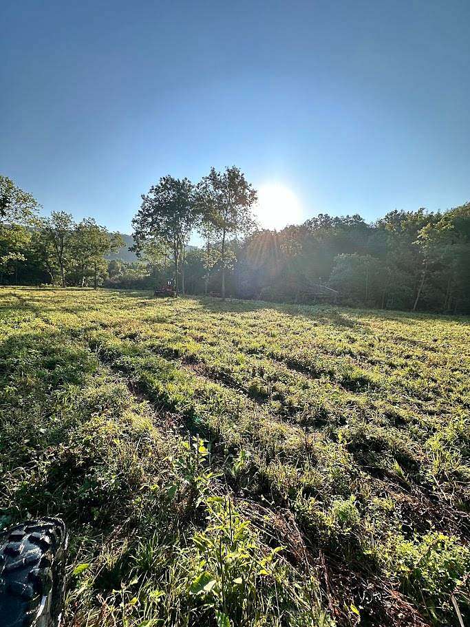 80 Acres of Recreational Land for Sale in Eminence, Missouri