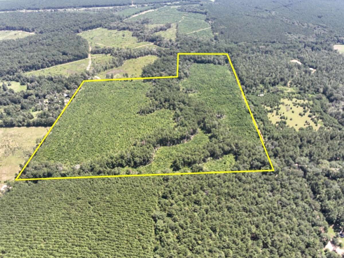 61 Acres of Recreational Land for Sale in Ace, Texas