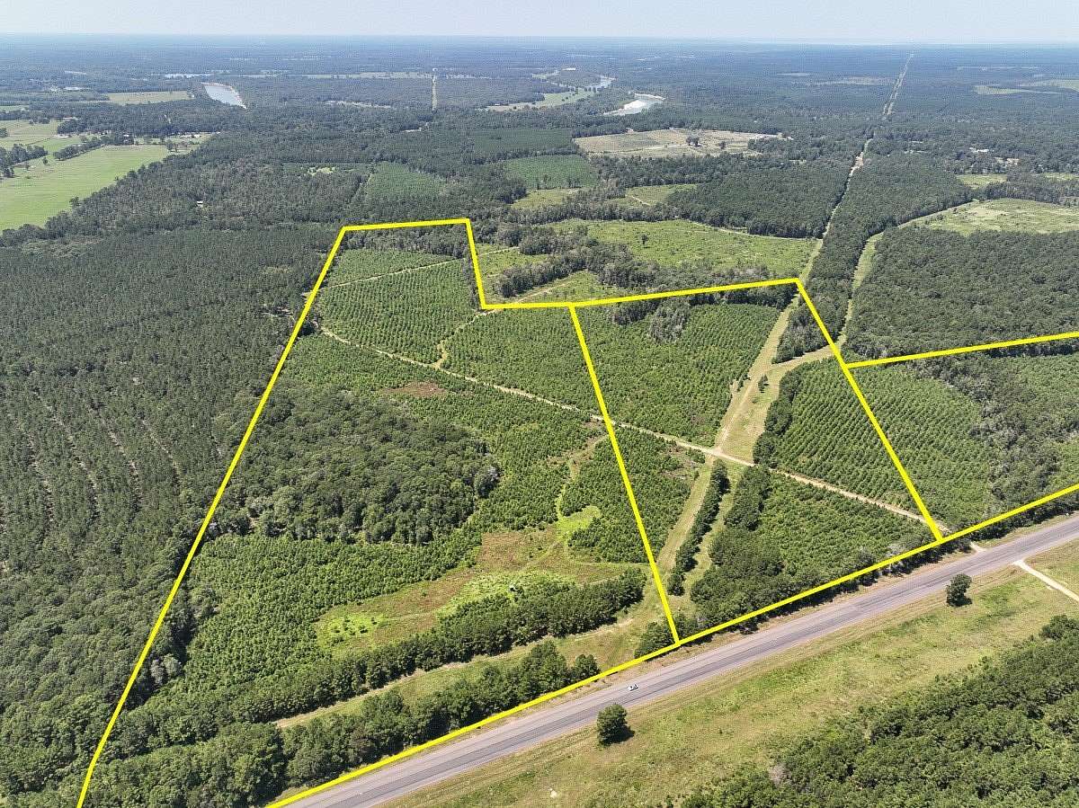 31 Acres of Recreational Land for Sale in Ace, Texas