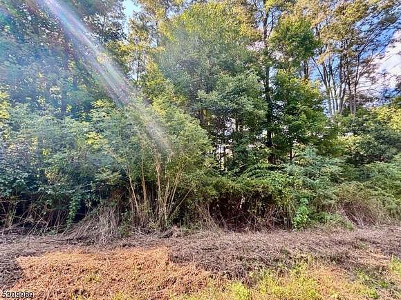 2.63 Acres of Residential Land for Sale in Franklin, New Jersey