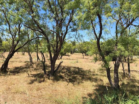 0.3 Acres of Land for Sale in Horseshoe Bay, Texas