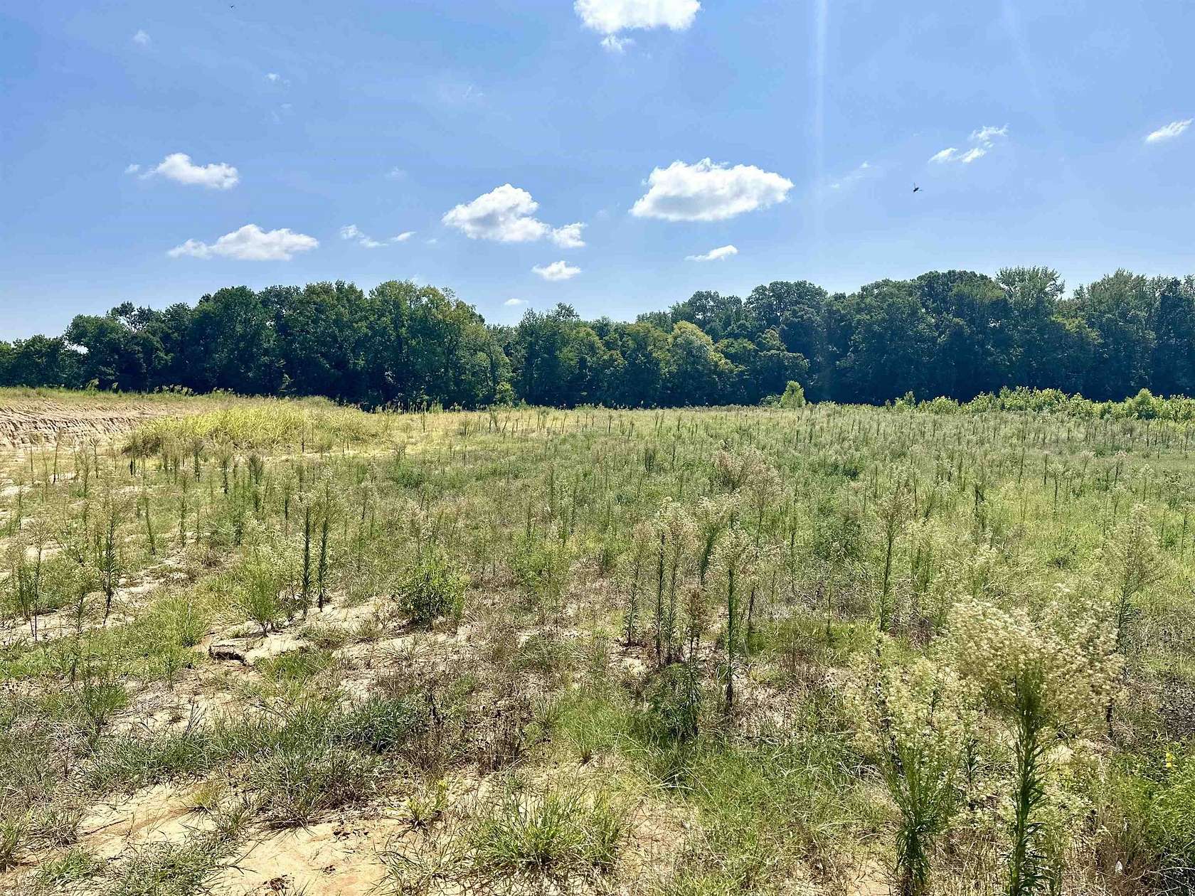 5 Acres of Residential Land for Sale in Munford, Tennessee