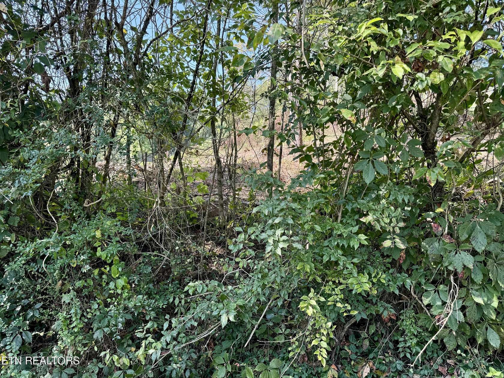 0.4 Acres of Land for Sale in Tazewell, Tennessee